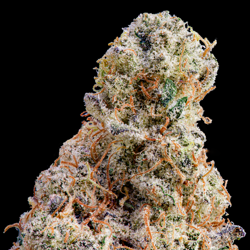 The memo premium cannabis - Planet of the Grapes - Hybrid / Indica Cannabis Strain
